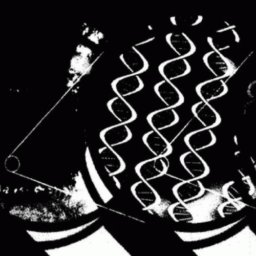 Decoherence (UK) : Embedded Observer